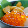 [Sashimi Grade] Soy Sauce-marinated Ikura (Salmon Roe) from Sanriku (160g)