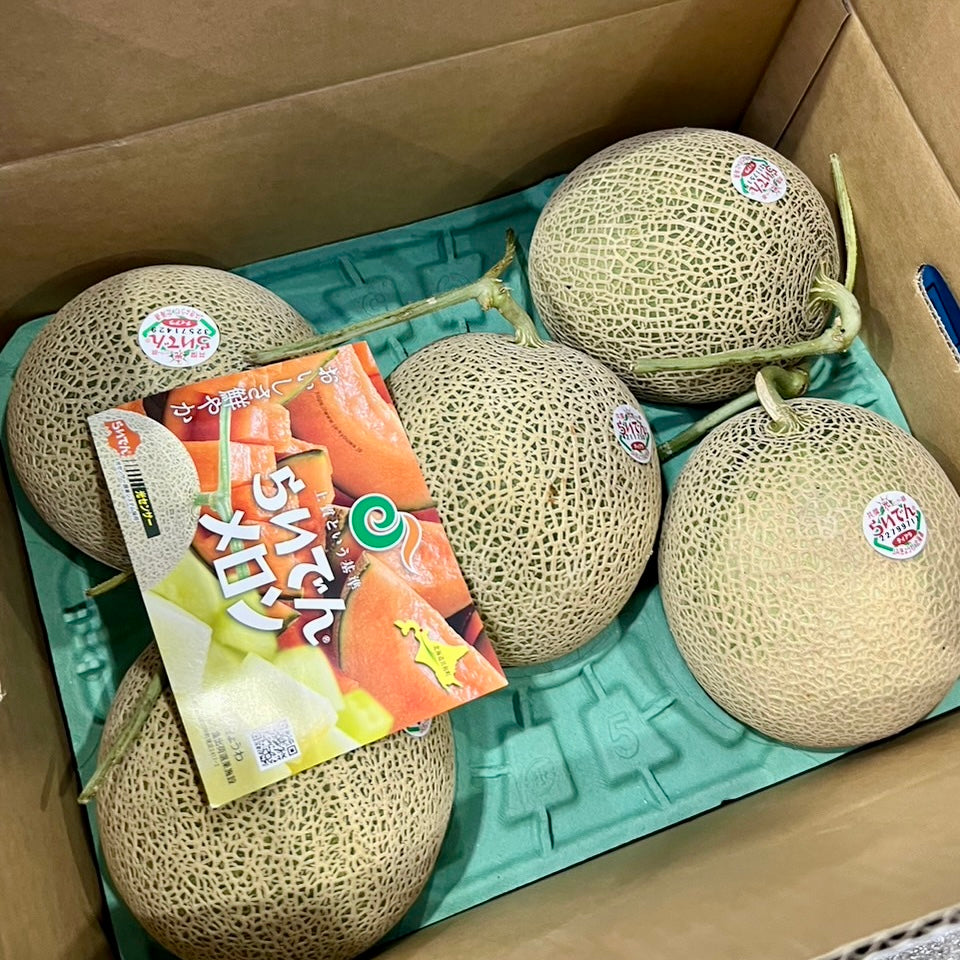 [Pre-Order] Hokkaido Green Melon - RAIDEN 青肉らいでんメロン / 1.3-2kg, 1 piece