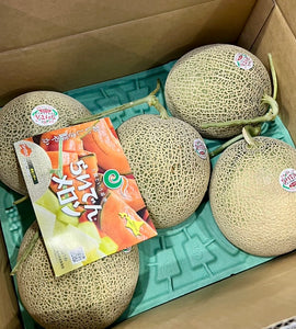 [Pre-Order] Hokkaido Green Melon - RAIDEN 青肉らいでんメロン / 1.3-2kg, 1 piece