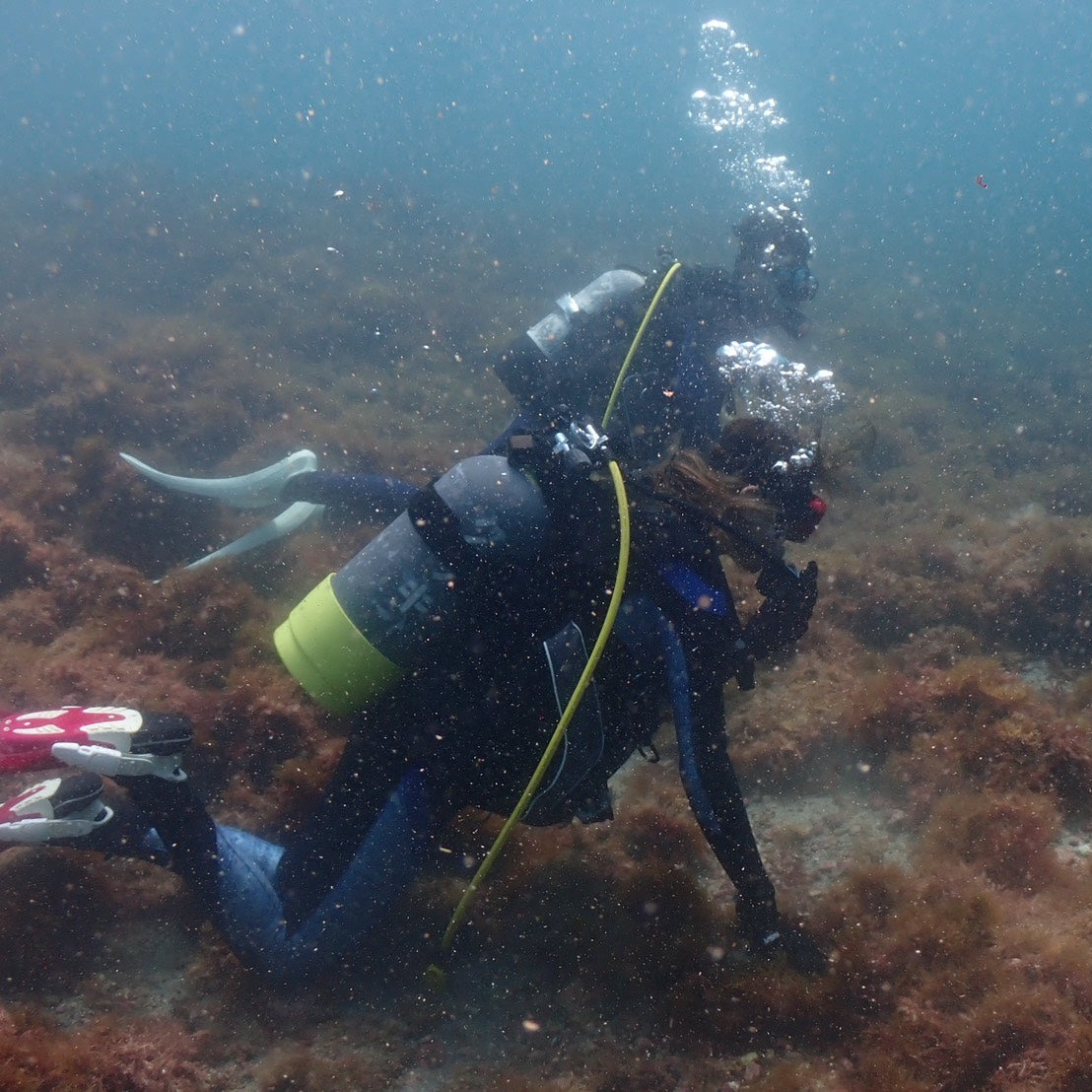 A Diving Day in Izu tour