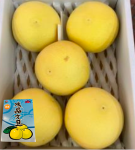 [Pre-Order] Buntan (文旦) / Japanese Pomelo / 3 kg, 5-6 Pieces