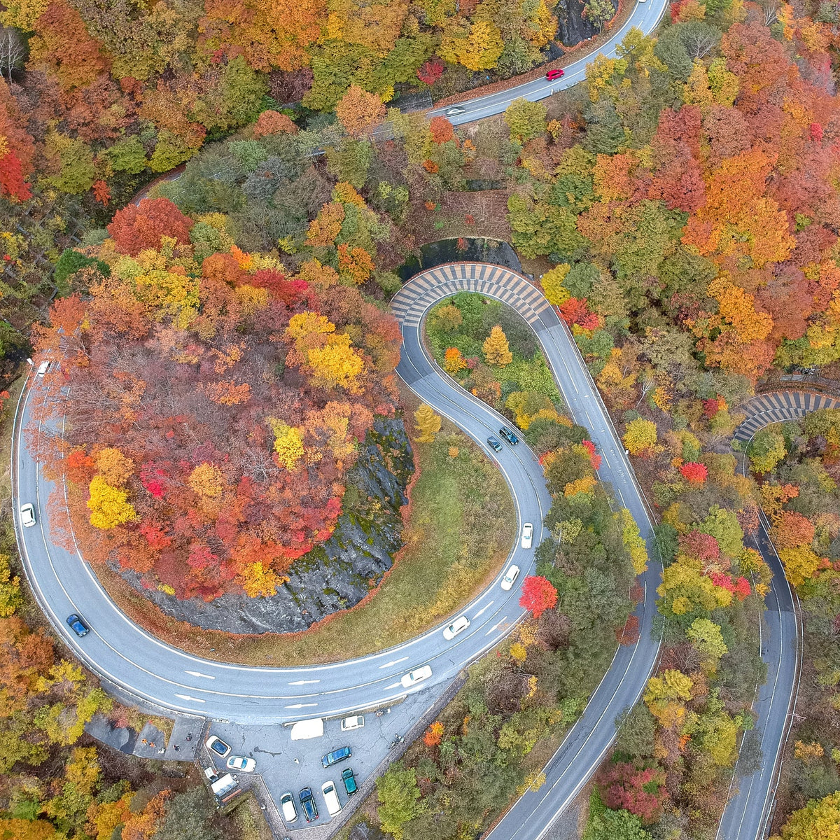 Nikko Autumn Private Day Trip from Tokyo (Approx. 8 Hours)