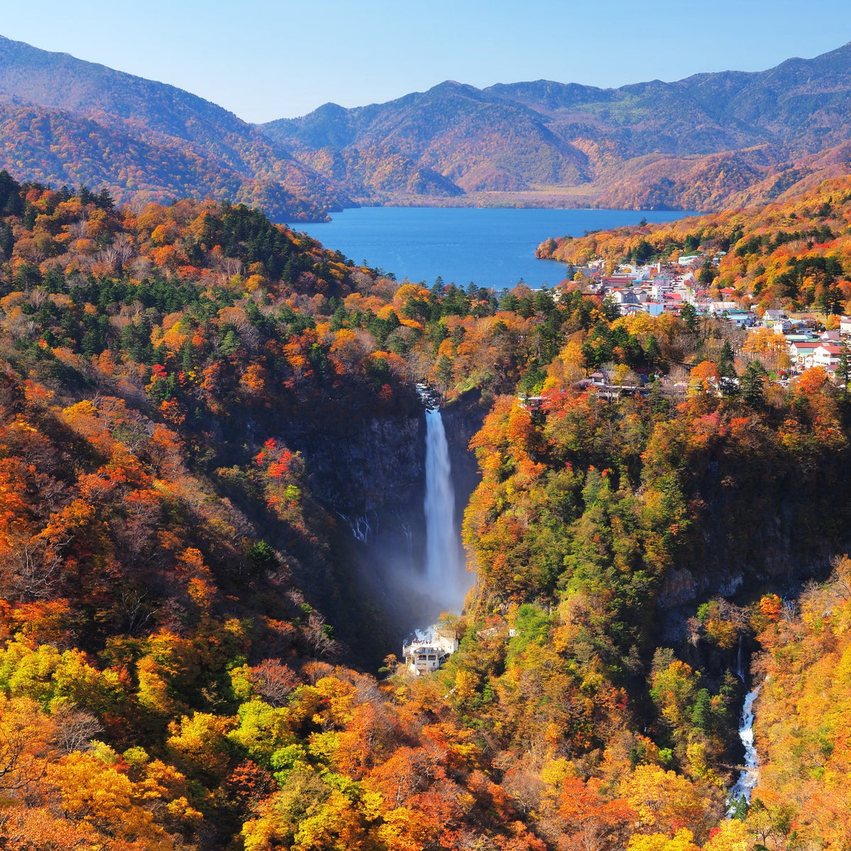 Nikko Autumn Private Day Trip from Tokyo (Approx. 8 Hours)
