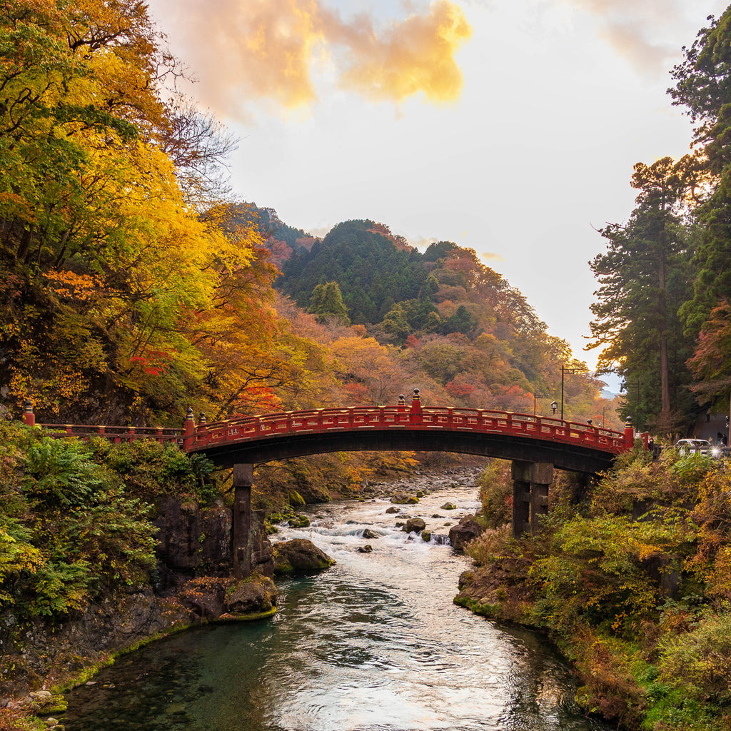 Nikko Autumn Private Day Trip from Tokyo (Approx. 8 Hours)