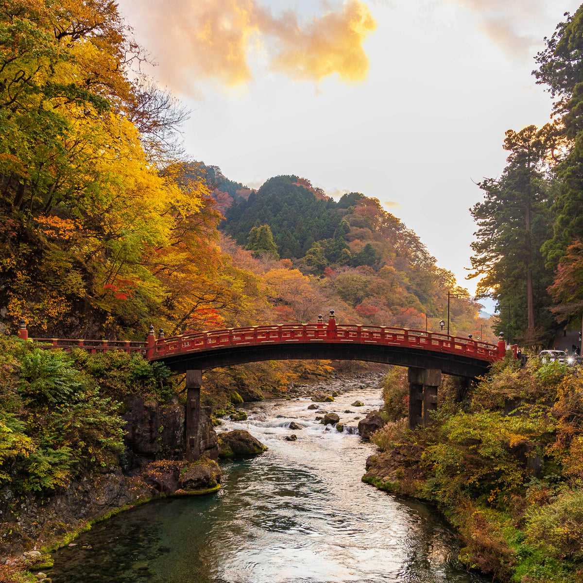 Nikko Autumn Private Day Trip from Tokyo (Approx. 8 Hours)