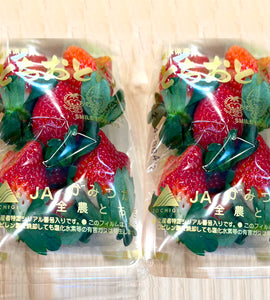 [Pre-Order] Seasonal selected Japanese Strawberry いちご / 0.5 kg, 2 packs