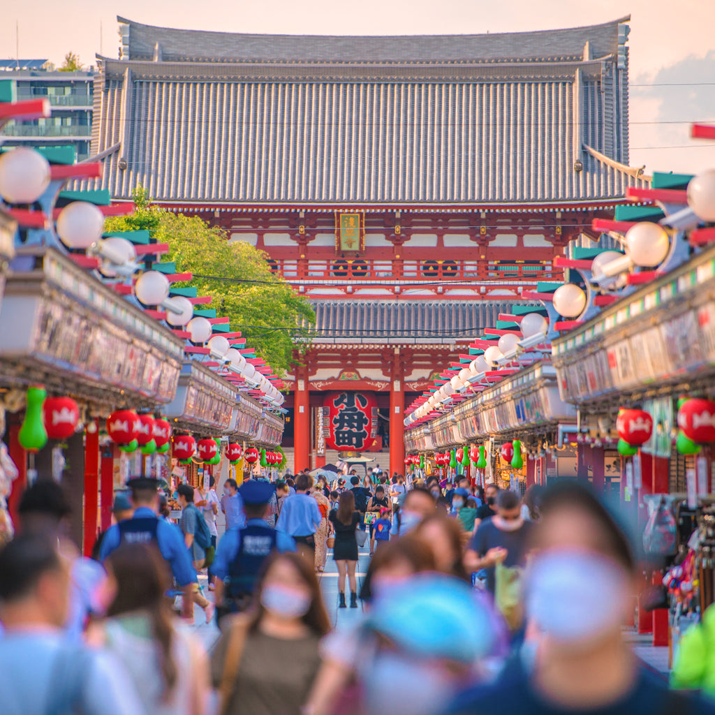 Tokyo Private & Custom Day Trip (7 Hours)