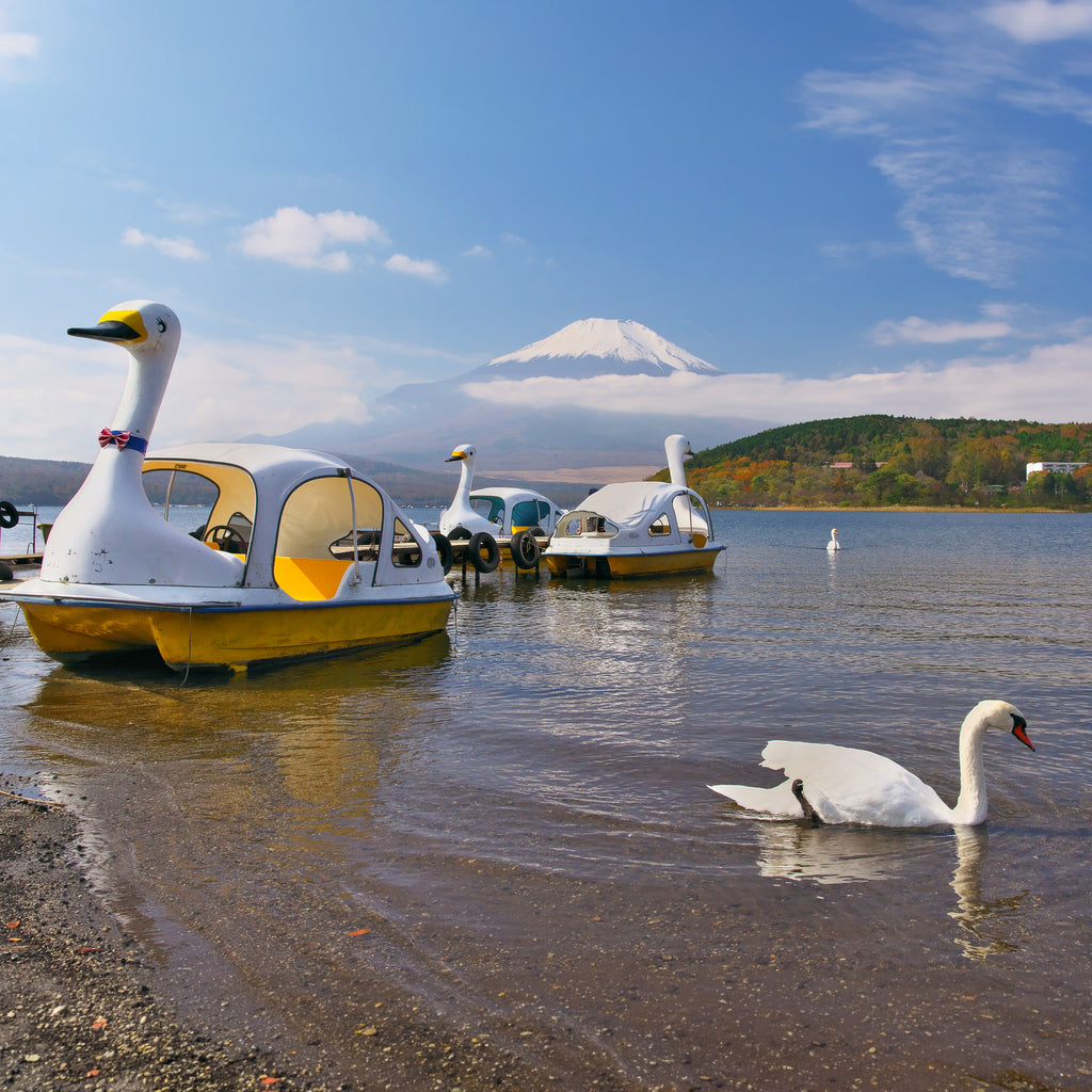 Mt. Fuji Private Day Trip from Tokyo (9 hours)