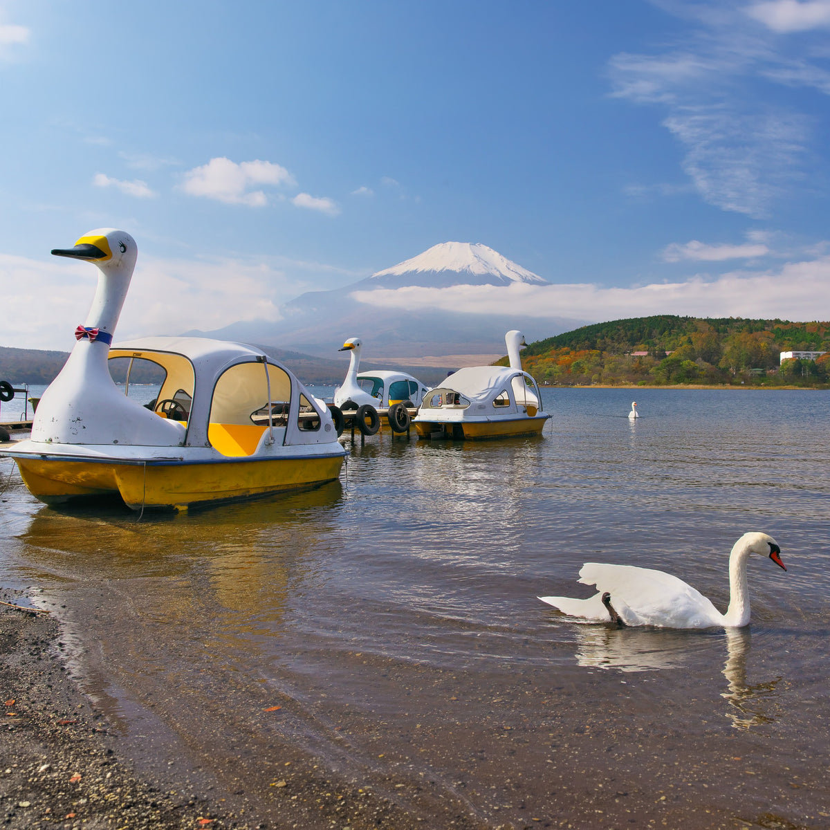 Mt. Fuji Private Day Trip from Tokyo (9 hours)