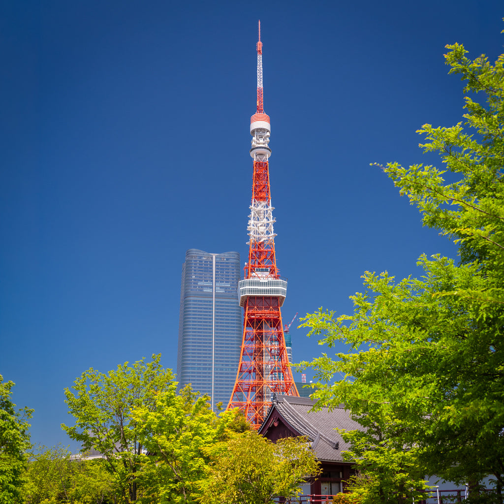 Tokyo Private & Custom Day Trip (7 Hours)