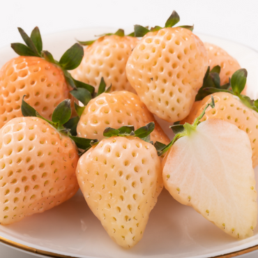 [Pre-Order] AWAYUKI White Strawberry - 淡雪 あわゆき / 0.5 kg, 2 packs