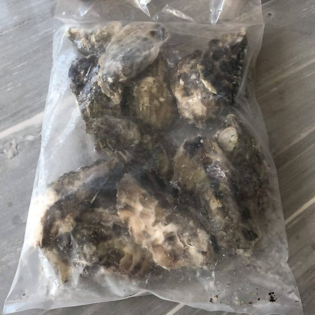 [Sashimi Grade] Yamada Bay Oyster (12pcs) with whole shell