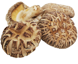 Premium Japanese Dried Shiitake Mushroom 茶花冬菇 (50g)
